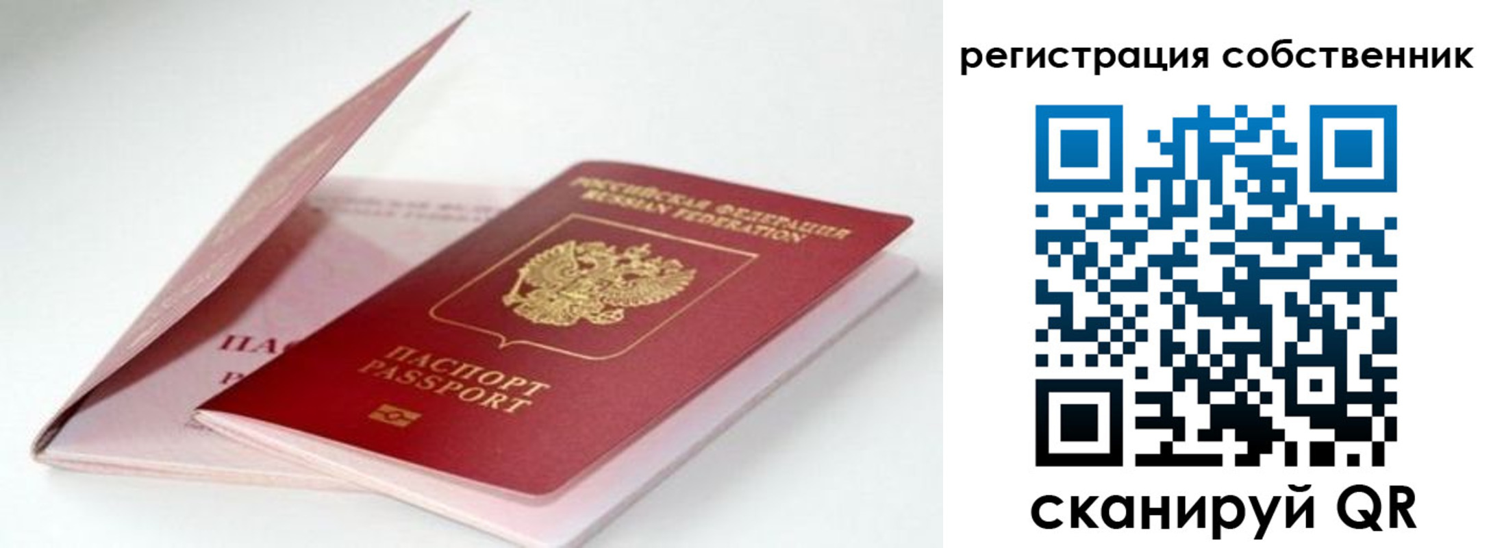 прописка для работы в Мытищах